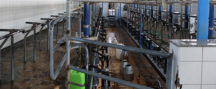C’è una “vecchia” Fattoria che nella Piana raccoglie successi e sfida l’immobilismo