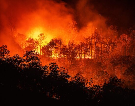 Lotta agli incendi boschivi, Lo Schiavo (DeMa) in Commissione: “Aumentare le risorse per il contrasto alle ecomafie”