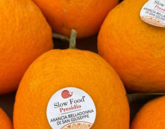 Arancia Belladonna, eccellenza calabrese che diventa Slow Food