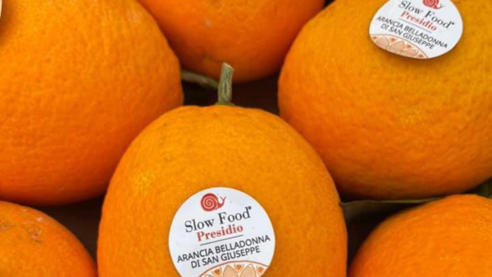 Arancia Belladonna, eccellenza calabrese che diventa Slow Food
