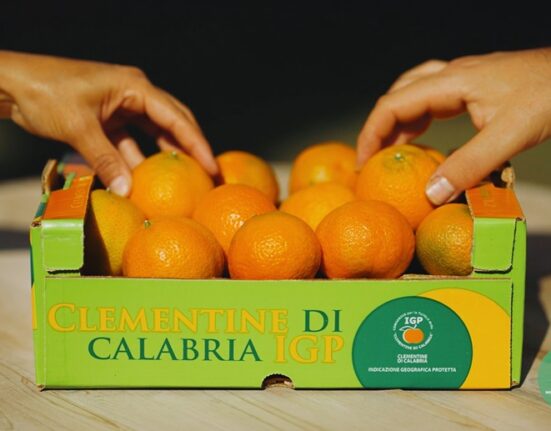 Sapore autentico dal cuore di Calabria: Rai celebra le Clementine Igp