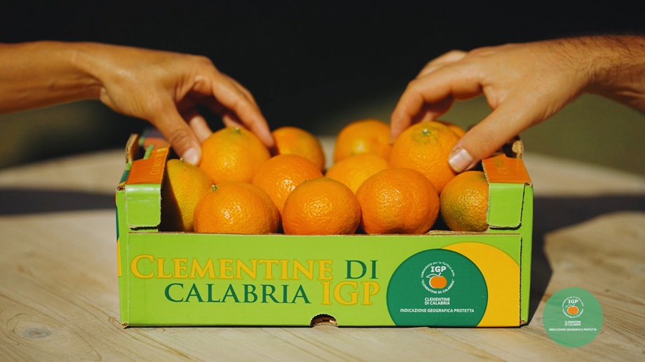 Sapore autentico dal cuore di Calabria: Rai celebra le Clementine Igp