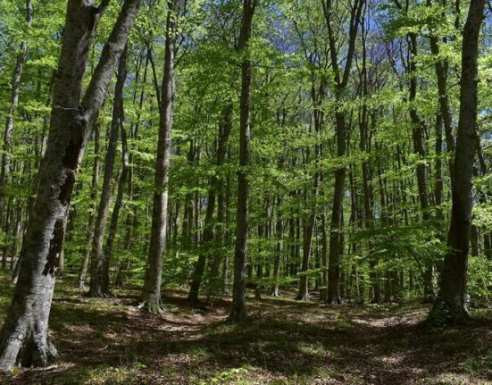 Nasce in Calabria il sentiero ‘La via dei sediari’
