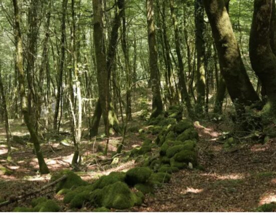 Aspromonte, nuovi ritrovamenti lungo antiche mura romane