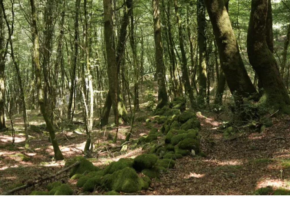 Aspromonte, nuovi ritrovamenti lungo antiche mura romane