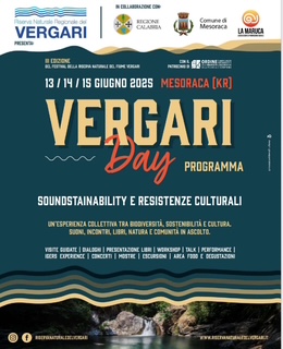 Vergari Day, la Calabria che ascolta
