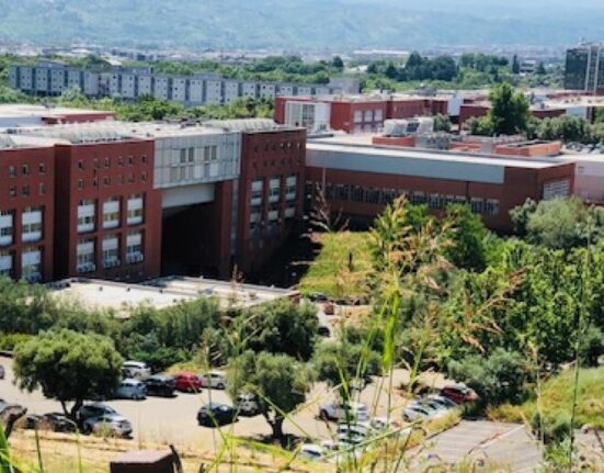 Unical, 89 docenti tra i migliori ricercatori al mondo