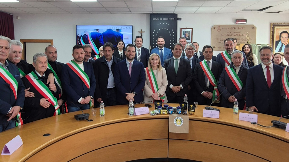 gioia tauro cirillo brasile