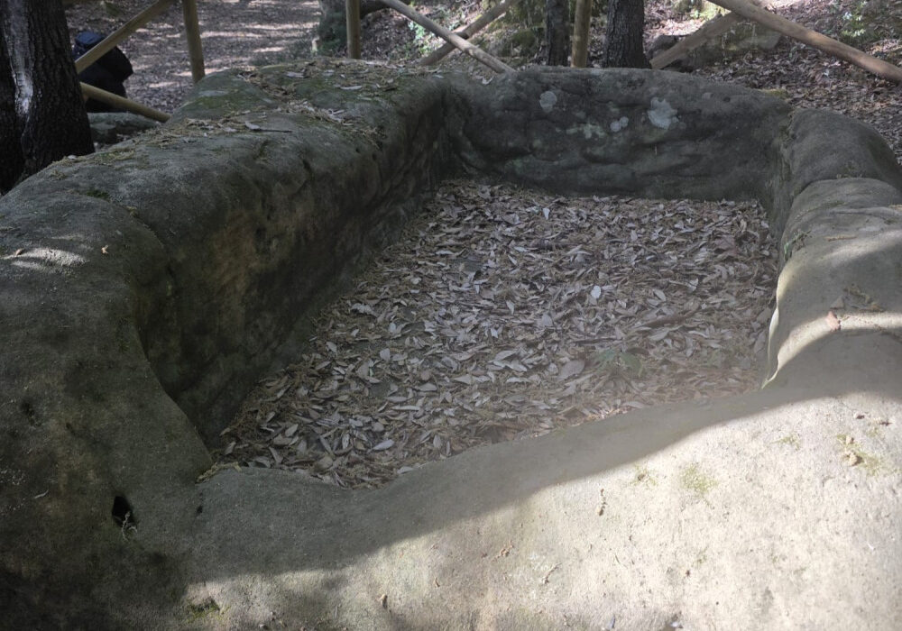 palmenti ferruzano 2 4
